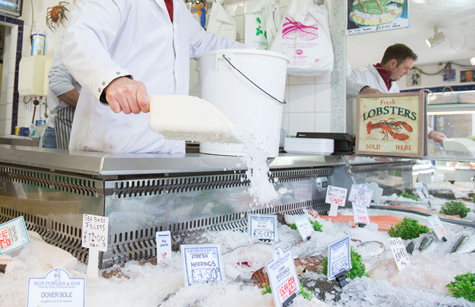 Flake Ice for Fishmongers