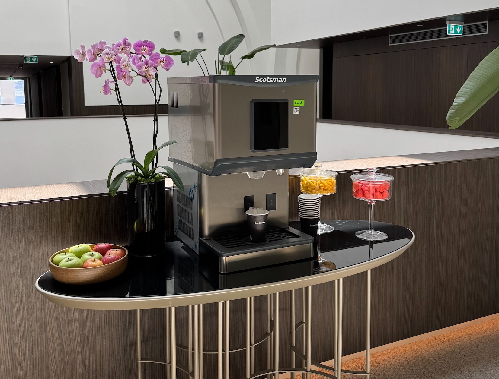 Scotsman DXN 187 ice and water dispenser